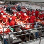 export_alimentare