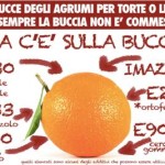 arancia_buccia_2