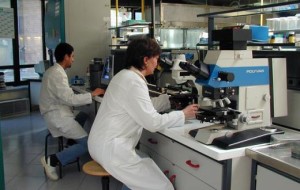 Laboratori-scientifici