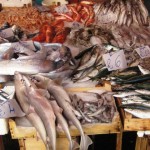 mercato_pesce